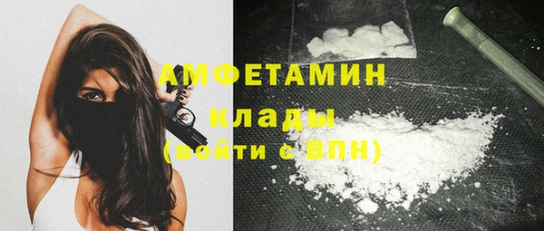стафф Новодвинск