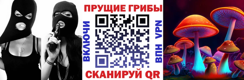 Псилоцибиновые грибы Magic Shrooms  МЕГА ссылки  Королёв  наркота 