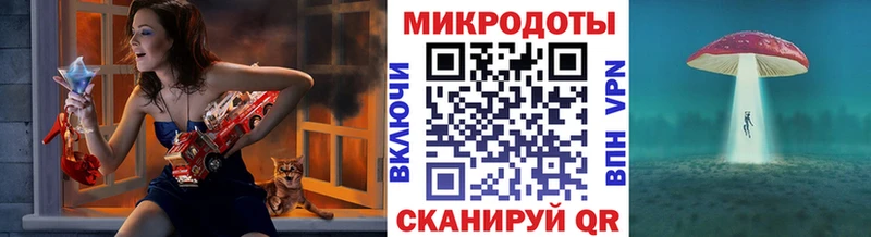 Псилоцибиновые грибы Cubensis Королёв